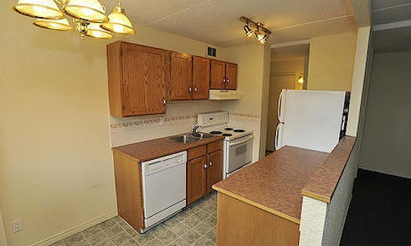 1 Bed 1 Bath Unit In...