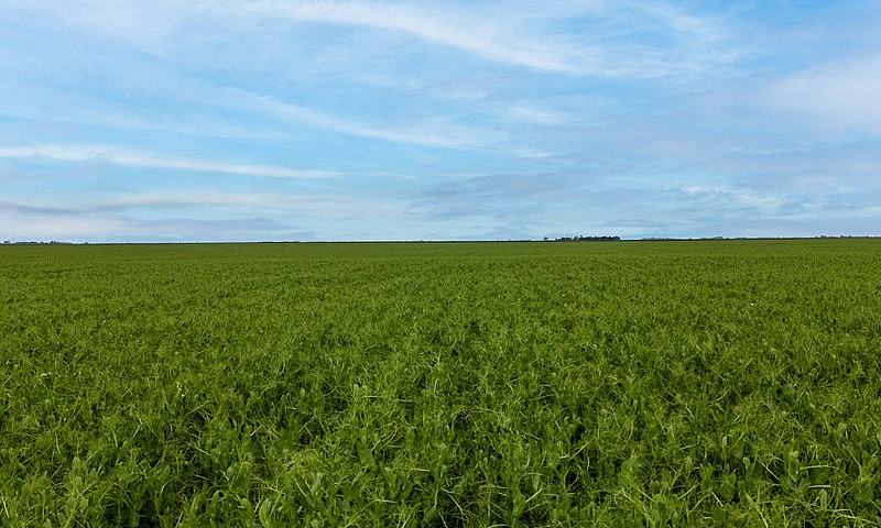 Premier Farmland Off...