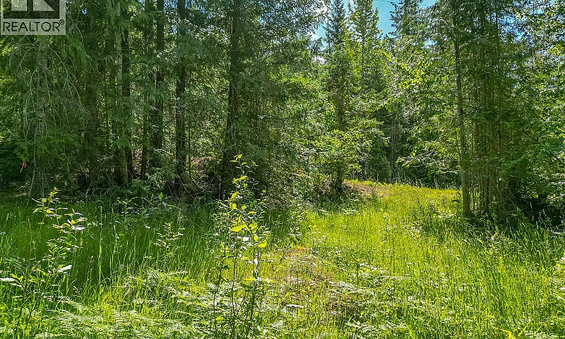98 Dolly Varden Road...