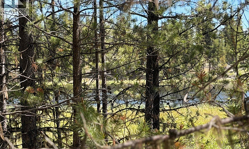 Dl 11479 Spout Lake ...
