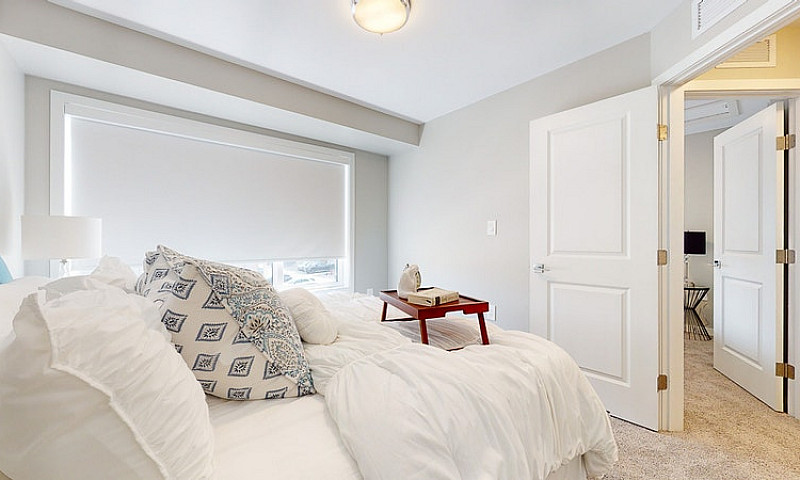 Element Townhomes In...