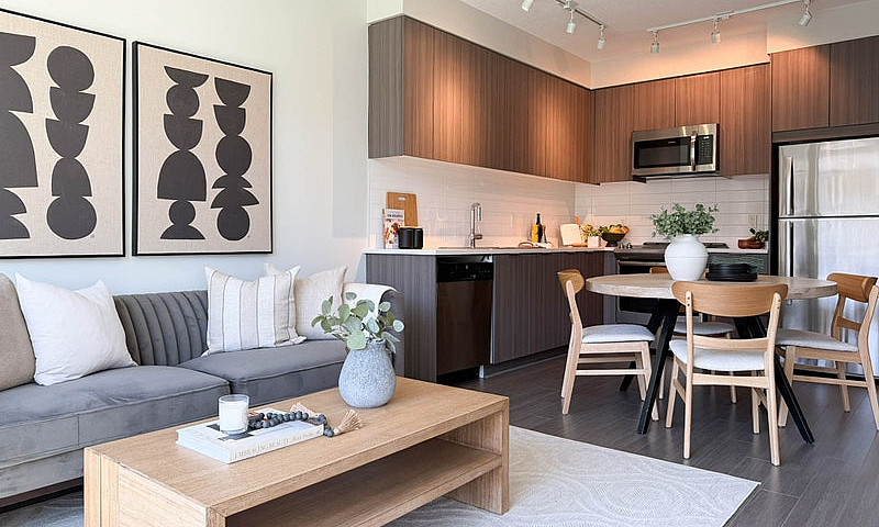 3 Bedroom Apartment ...