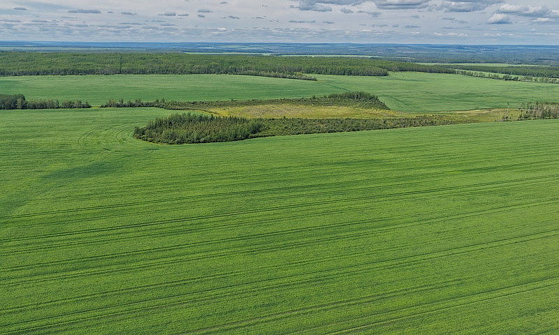2,097 Acres | Rose P...