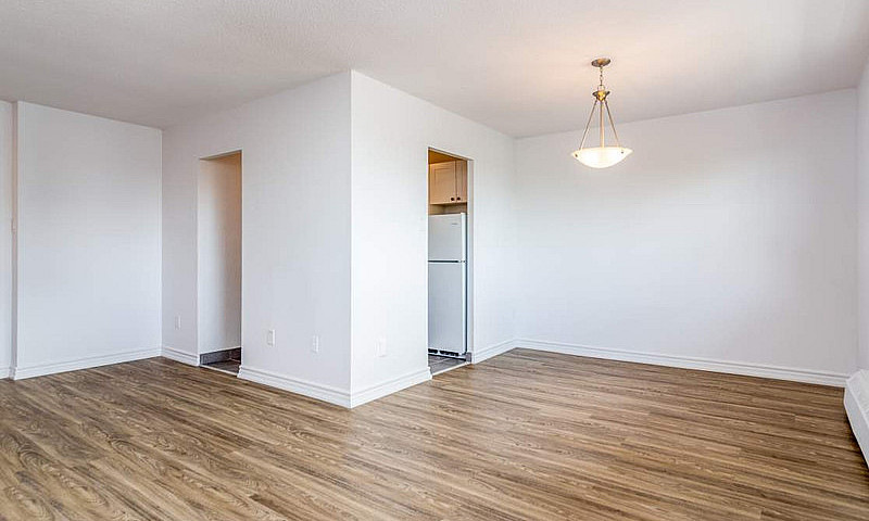 1 Bedroom Available ...