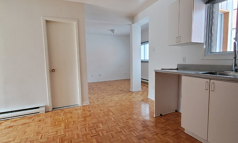 Logement À Louer 41/...