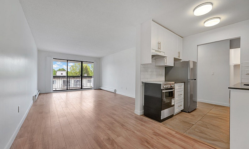 1 Bedroom Apartment ...