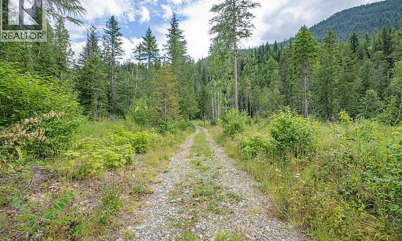 1136 Sugar Lake Road...