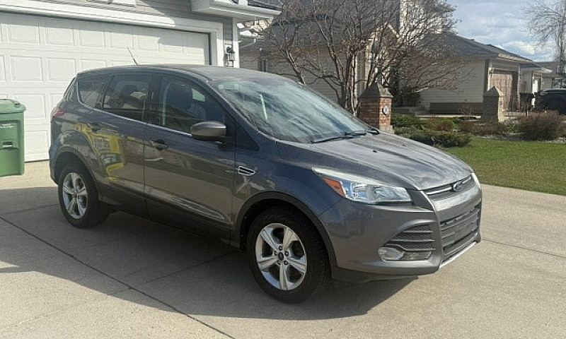 2014 Ford Escape Se ...