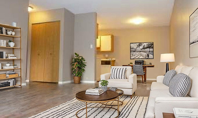 Mill Lake Apartment ...