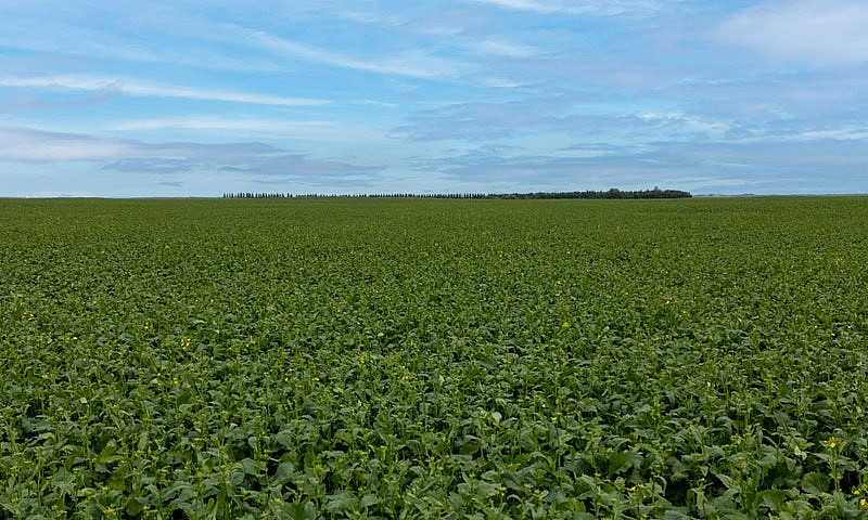 Premier Farmland Off...