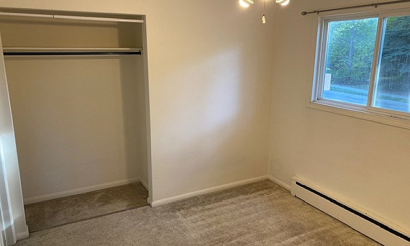 Vienna Apts # 4...