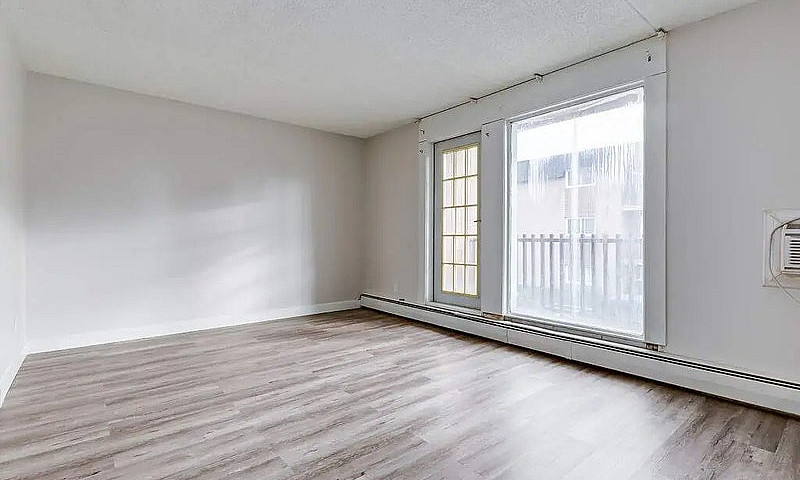 Modern Apartments Wi...