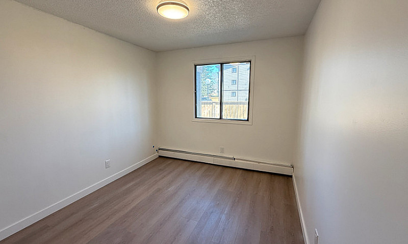 Modern & Spacious 2 ...