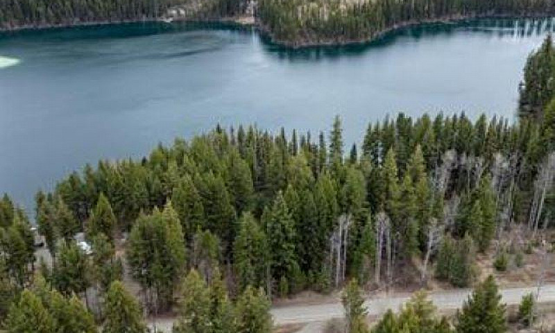 6062 Mahood Lake Roa...
