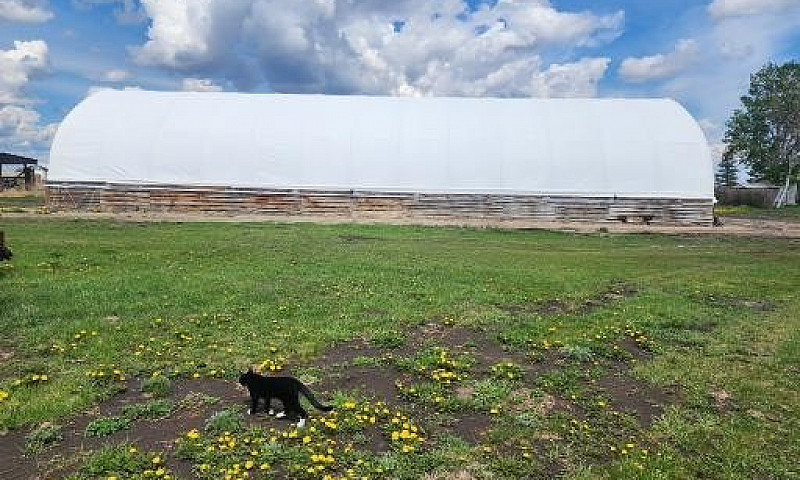Hobby Farm / Investm...