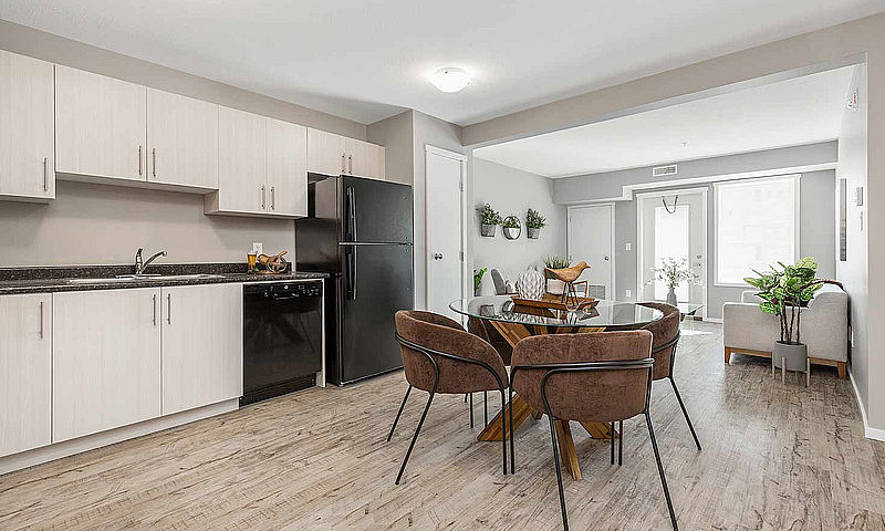 Pet-Friendly One Bed...
