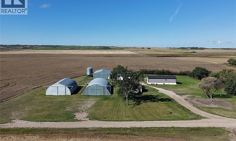 Saskatoon Ne Mature ...