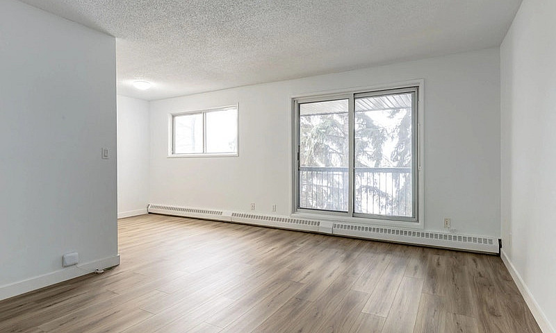 Spacious Apartments ...