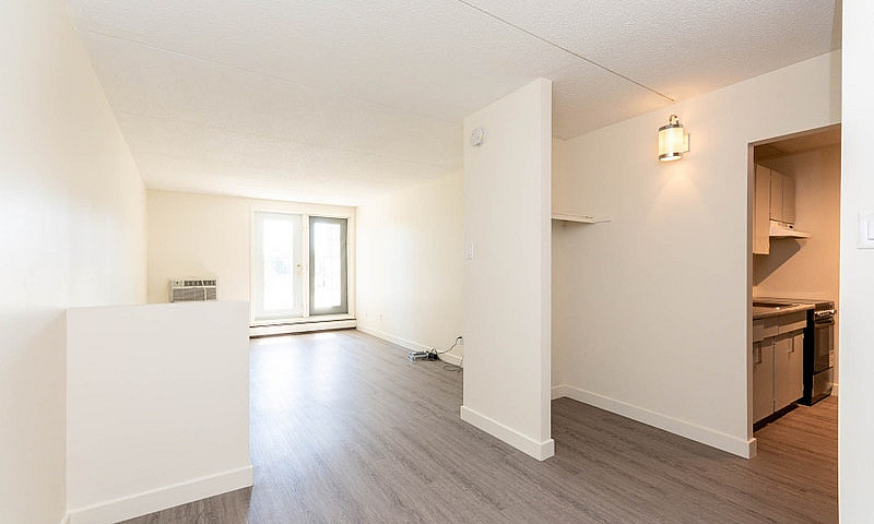1 Bedroom Basement P...