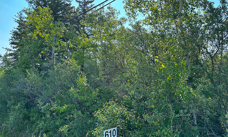 Lot Just Outside The...
