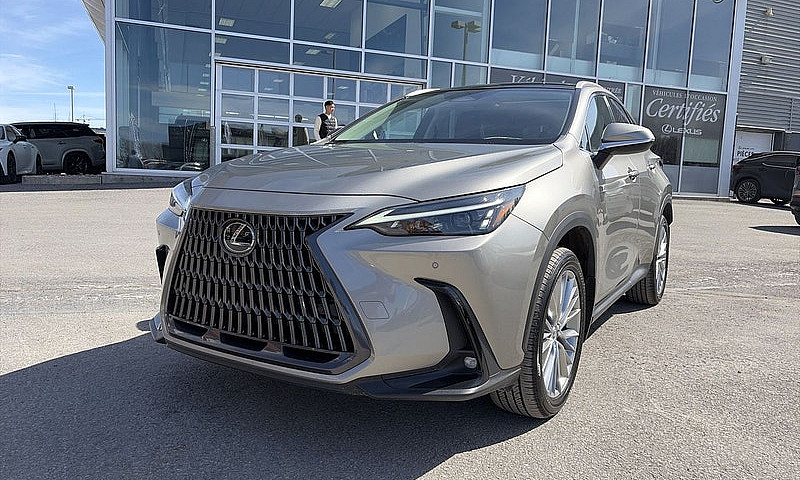 2023 Lexus Nx 350 Lu...