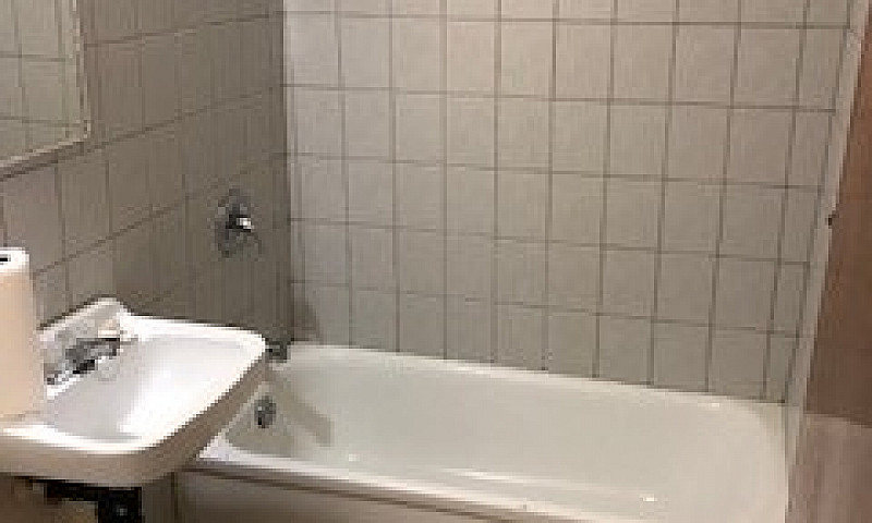 Renovated Bachelor A...