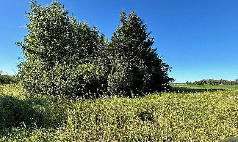 Rr 231 Twp Rd 602 Ru...
