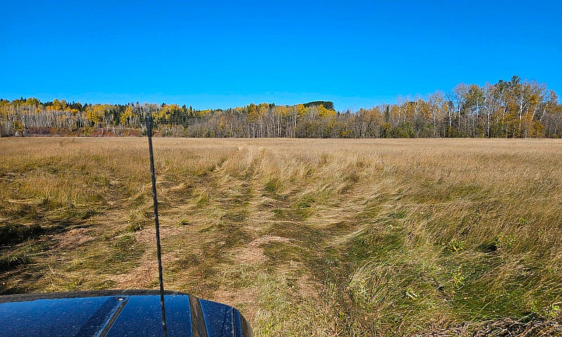 17.5 Acre Property...