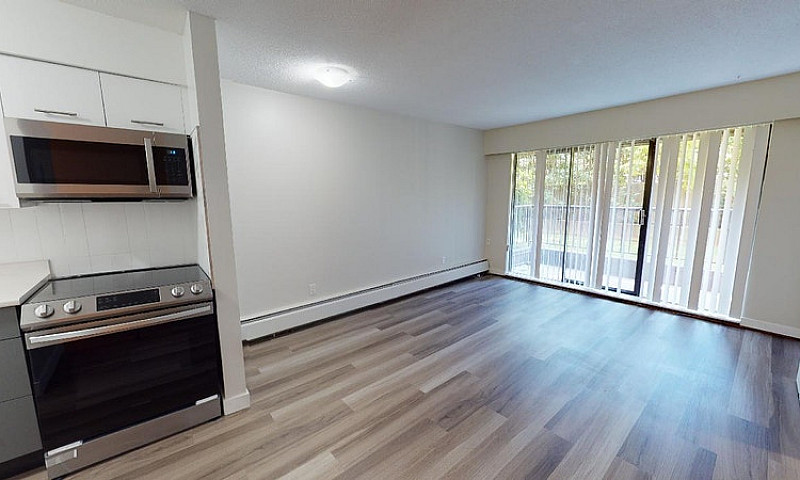 Apartment For Rent A...