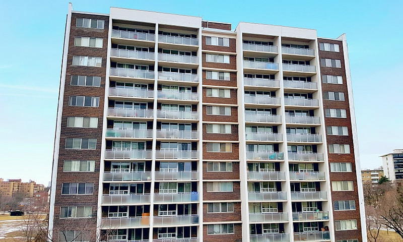 1 Bedroom Apartment ...