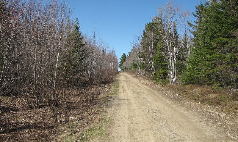 New Price, 11 Acres ...