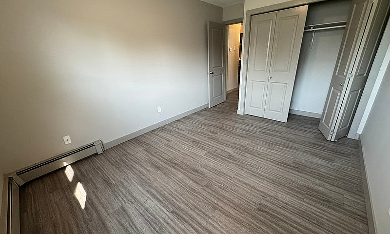 Cozy, Pet-Friendly G...