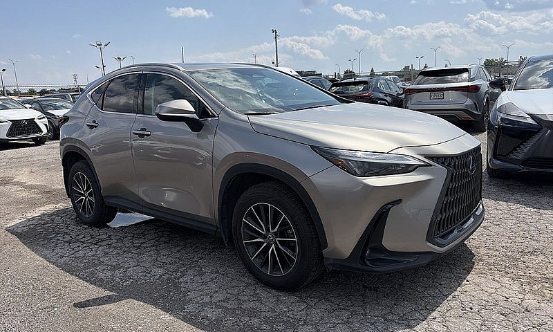 2025 Lexus Nx Nx 350...