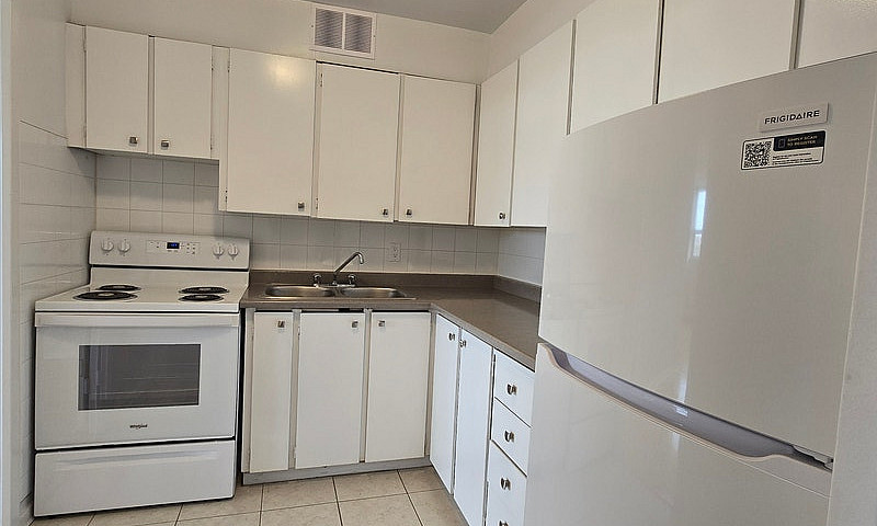 One Bedroom Apartmen...