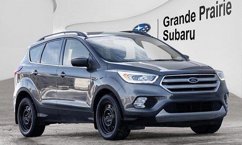 2019 Ford Escape Sel...