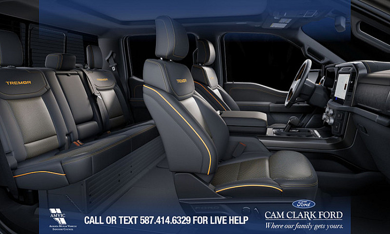 2025 Ford F-150 Trem...