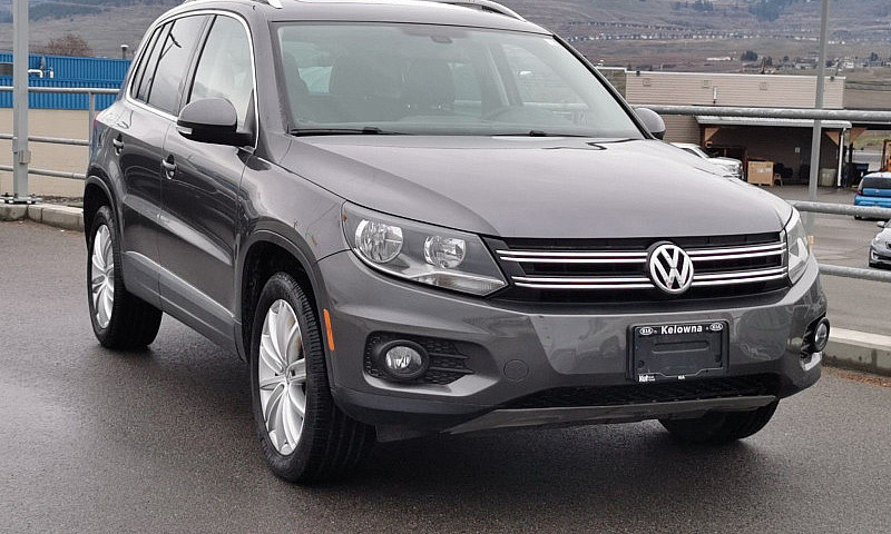 2013 Volkswagen Tigu...