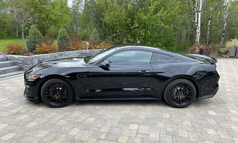 2016 Ford Gt350 Shel...