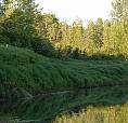 2 Acres Along The Canaan River