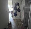 1 Bedroom Apartment For Sublet And Option To Extend 