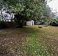 Whole House For Rent In Orillia From Nov 1