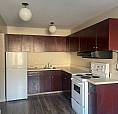 For Rent 1 Bd Apartment - 11916-105 St  Edmonton, Ab