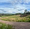 10.5 Acres