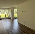 18+ Spacious One Bed, One Bathroom