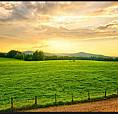 Land For Sale - Niagara Falls