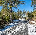 Incredible Lake-Front Property Ready For Your New Build!
