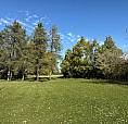 Lake Front Cabin For Sale Emma Lake