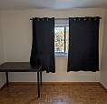 Single Room For Rent