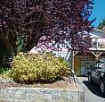 Studio Housekeeping Suite In Lower Gibsons
