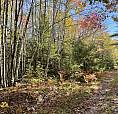 1/4 Acre Near Kejimkujik National Park